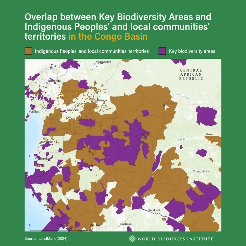 WorldResources's tweet photo. 🌎3 infographics from @LandMarkMap, a newly-updated resource developed under the secretariat of @landcoalition and WRI, show that protecting biodiversity goes hand in hand with securing Indigenous and community #LandRights⏩

Learn more👇