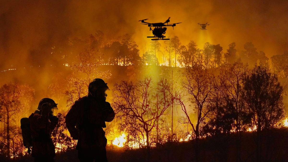 UEA Research (@uearesearch) on Twitter photo A new study published in <a href="/ScienceMagazine/">Science Magazine</a> finds that carbon dioxide emissions from forest fires have surged by sixty percent since 2001, almost tripling in the most climate-sensitive areas. 🌍🔥
#ClimateResearch #AcademixExpert #GlobalWarming #ForestFireWarnings A new study published in <a href="/ScienceMagazine/">Science Magazine</a> finds that carbon dioxide emissions from forest fires have surged by sixty percent since 2001, almost tripling in the most climate-sensitive areas. 🌍🔥
#ClimateResearch #AcademixExpert #GlobalWarming #ForestFireWarnings