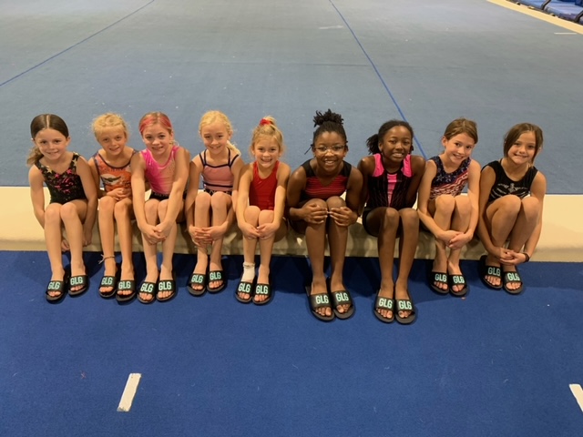 prideslides's tweet photo. Great Lakes Gymnastics is putting in the work with their custom GLG slides! Good luck this year and thank you for making Pride Slides a part of your season!

#customslides #customclogs #customsneakers #promotionalproducts #promo #swag #spiritwear #teamapparel #teamgear https://t.co/Q2dfVIn2oG
