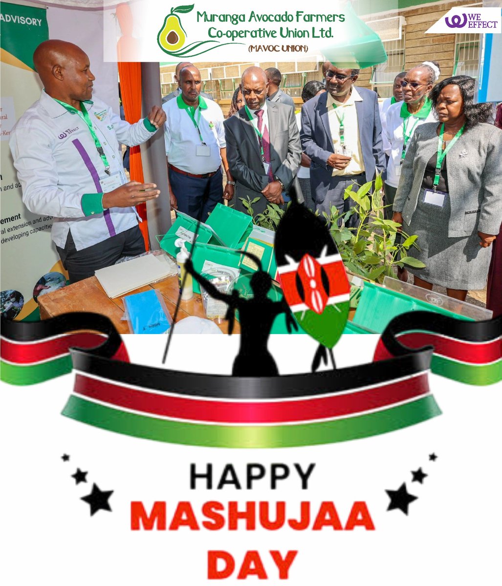 Farmers are Heroes in Making.
Empowered Farmers deliver to the growth of a stable economy.
Thank you <a href="/WeEffectEA/">We Effect EastAfrica</a> for supporting Muranga Avocado Farmers towards sustainable productivity.
We are truly indebted. Since the beginning of the project, most farmers have confessed wins.