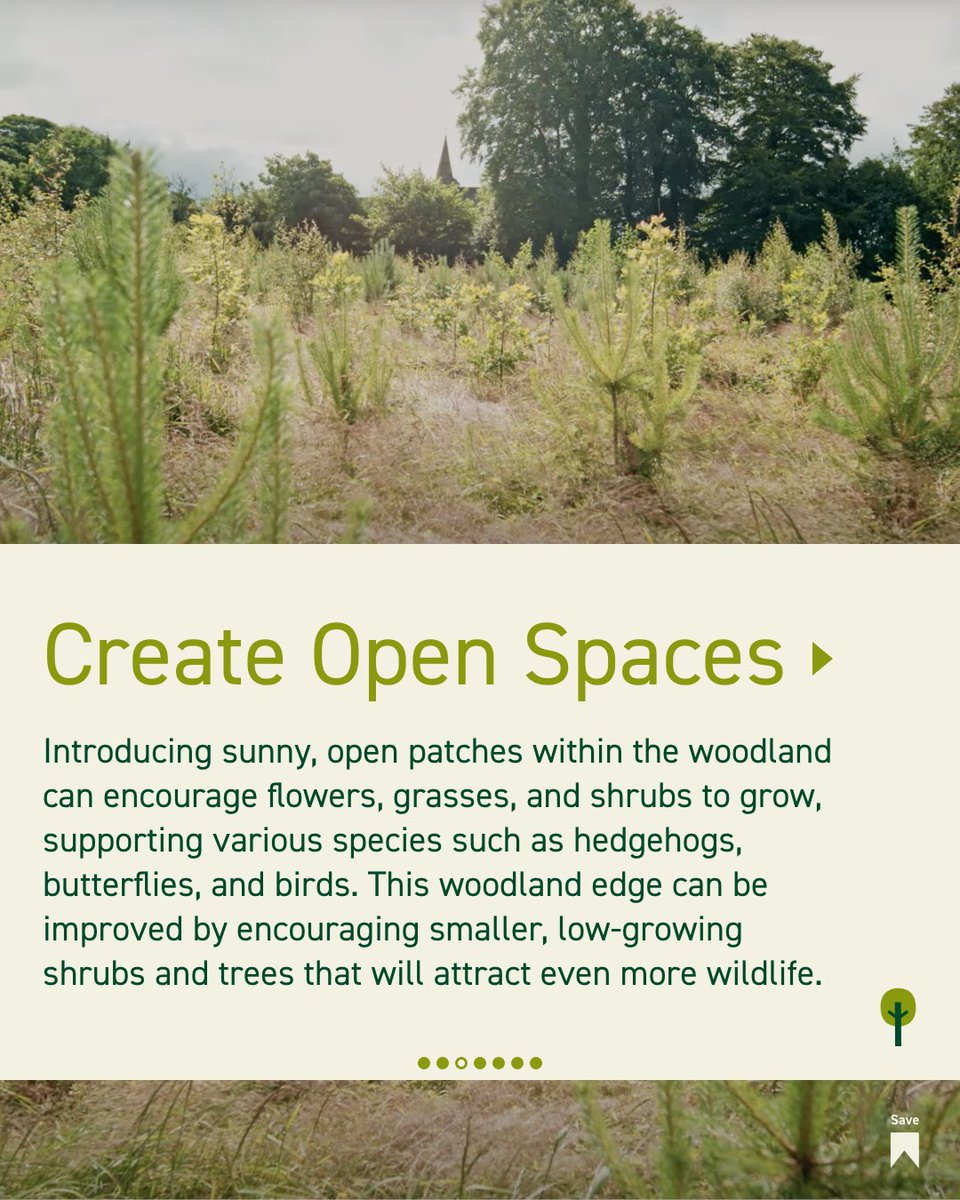 FarmForest tweet media