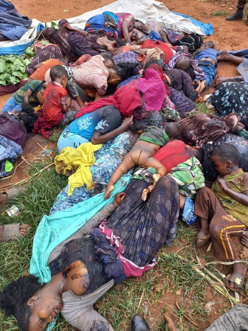 Global_Folder's tweet photo. There is a silent genocide in Congo

Congo is bleeding 

Your thoughts on this https://t.co/TCWUuNFERe