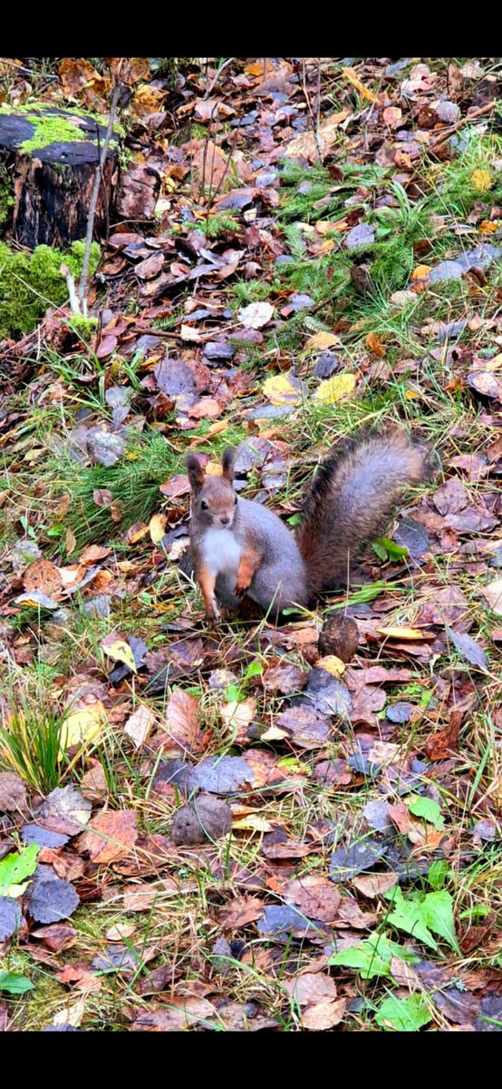 It's Cyril......#Tampere 🇫🇮🙏🤗