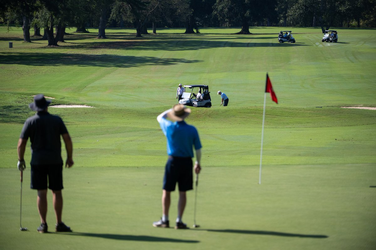 Carolina Caring tweet media