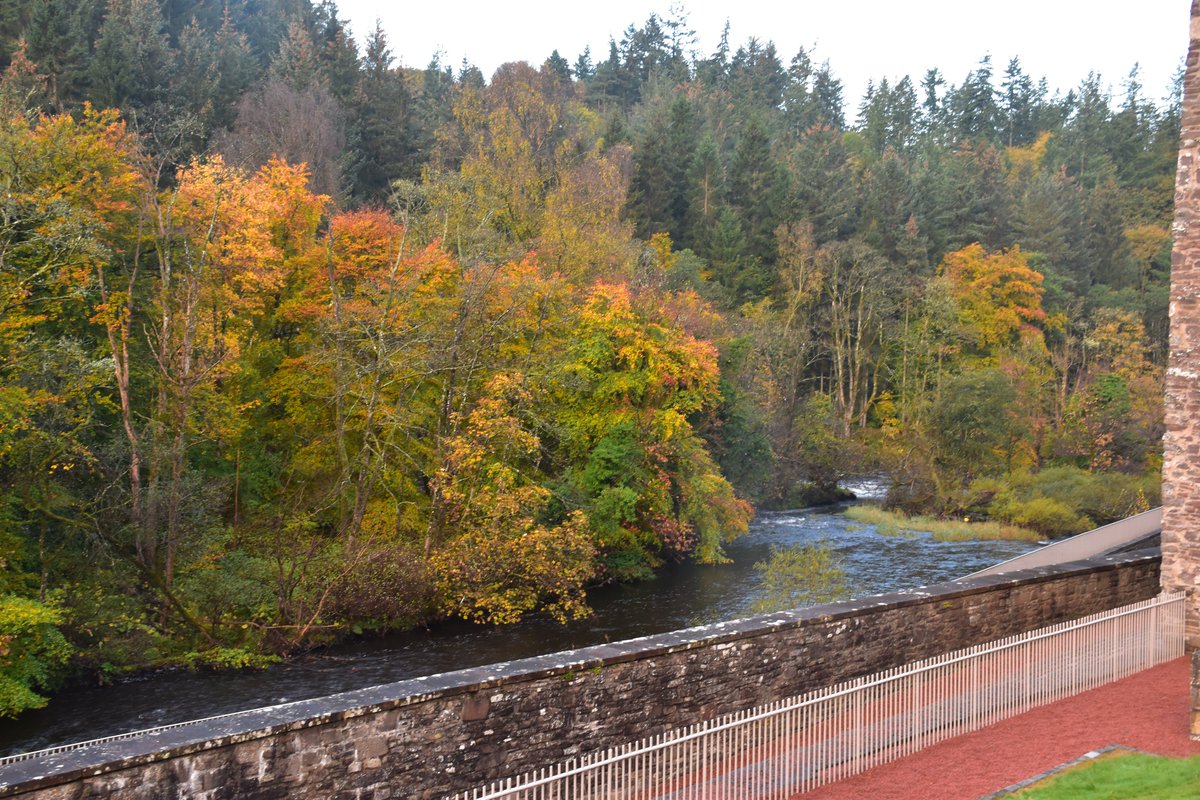 gasdoc2857's tweet image. Autumn in #NewLanark