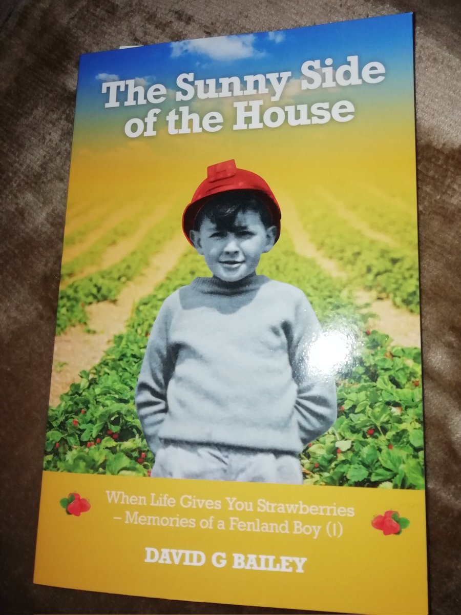 Lesley Wilkinson tweet media