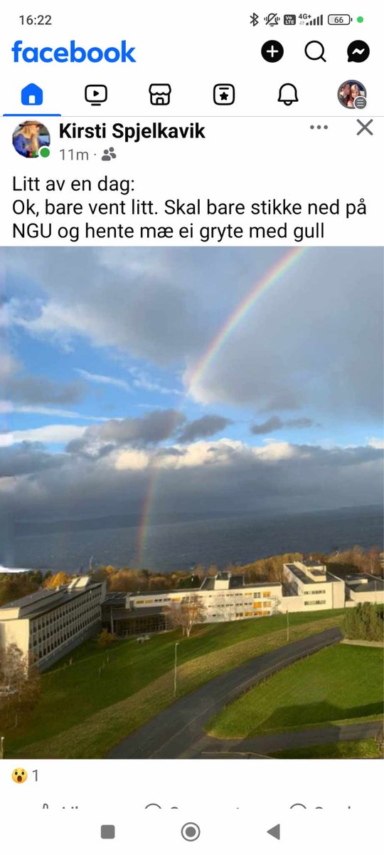 Anne Liinamaa tweet media