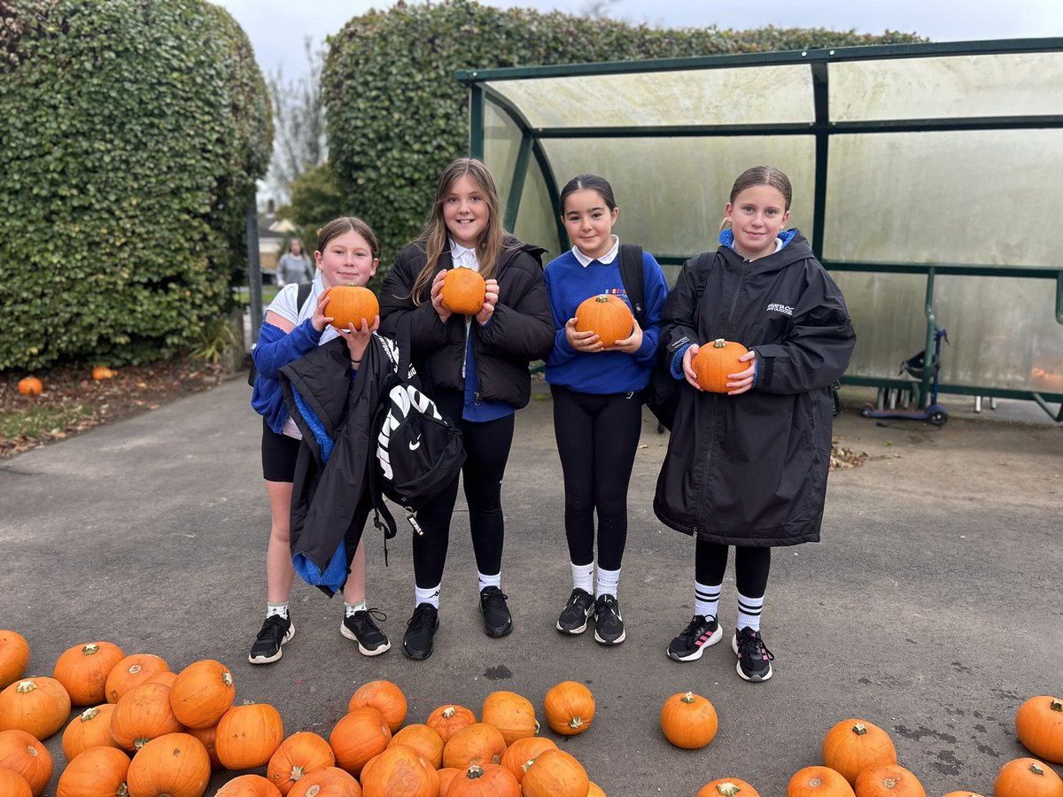 LlanFachPrm's tweet photo. The Llanishen Fach pumpkin patch was open for business this morning! Huge thanks to @VegCarter for supplying them for us 🎃🎃 https://t.co/JVp1IJlFyp