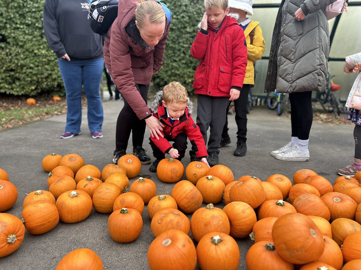 LlanFachPrm's tweet photo. The Llanishen Fach pumpkin patch was open for business this morning! Huge thanks to @VegCarter for supplying them for us 🎃🎃 https://t.co/JVp1IJlFyp