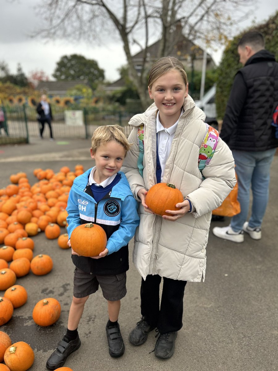 LlanFachPrm's tweet photo. The Llanishen Fach pumpkin patch was open for business this morning! Huge thanks to @VegCarter for supplying them for us 🎃🎃 https://t.co/JVp1IJlFyp