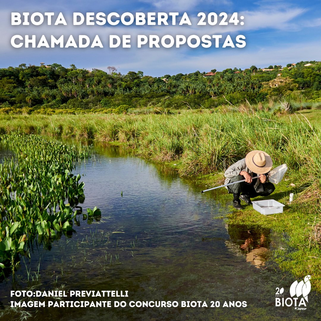 Está aberta a Chamada de Projetos BIOTA Descoberta 2024!

O objetivo desta Chamada de Propostas é apoiar projetos de pesquisa que abordem processos geradores e mantenedores da #Biodiversidade e fomentem a geração de conhecimento a partir dos acervos.

biota.org.br/biota-descober…