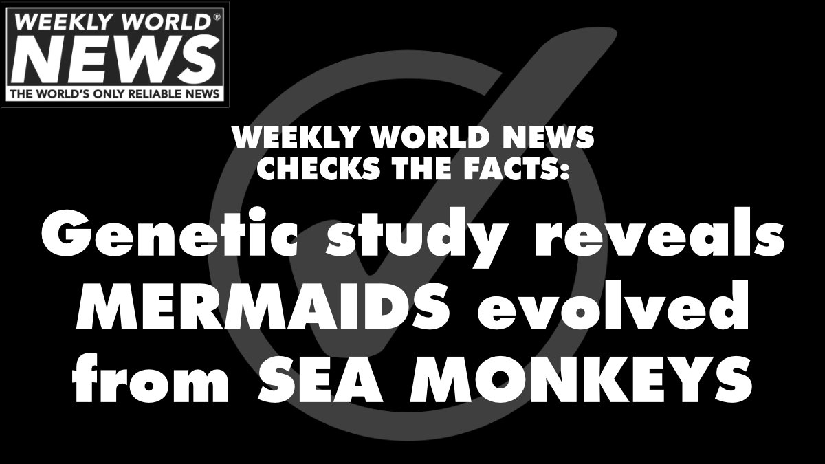 weeklyworldnews's tweet photo. WWN FACT-CHECKERS CHECKING FACTS.
#mermaids #SeaMonkeys #genetics #study #geneticstudy https://t.co/nIUhCPxfrx