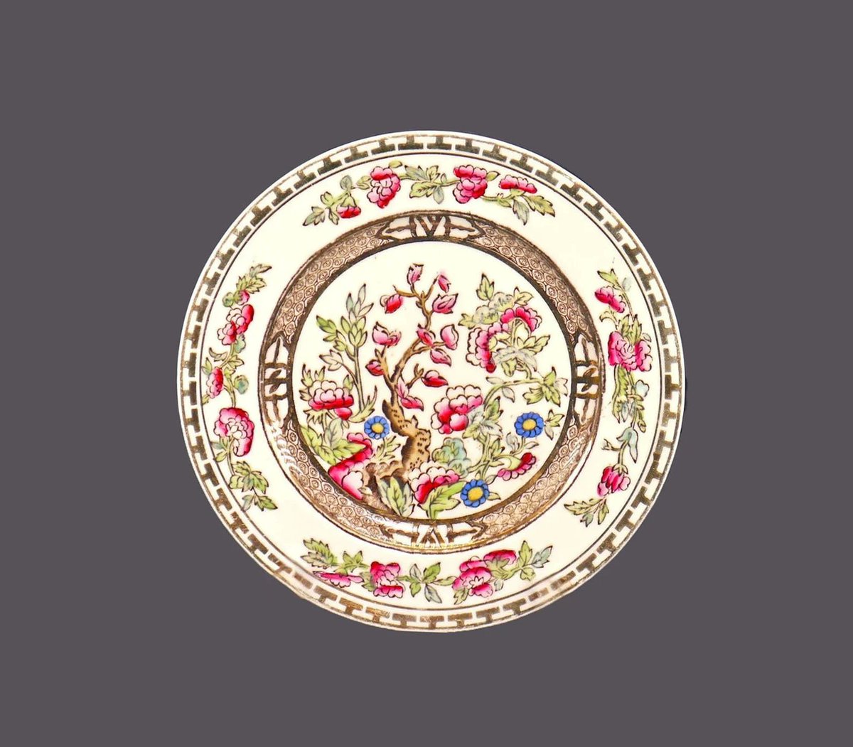 G97816960Girl's tweet photo. Antique Alfred Meakin The India Tree bread, dessert plate made in England. https://t.co/S6FpDM8XA6 via @Etsy #BuyfromGroovy #antiques #antiqueshop #tableware #tabledecor #antiquedishes #IndianTree #AlfredMeakin #MeakinIndianTree #EtsySellers https://t.co/DezwgfjSYq
