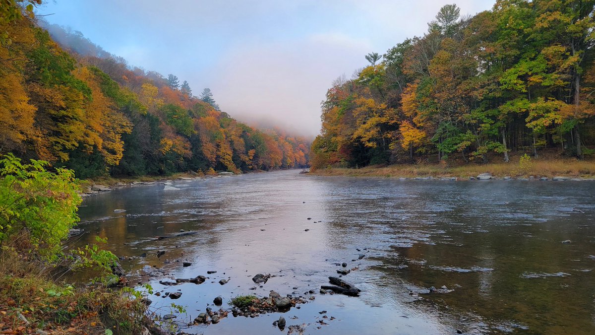 Pixels_Pints's tweet photo. Spent some time outside surrounded by beauty, and I'm not just talking about MacWife. https://t.co/pjah0LcIa3