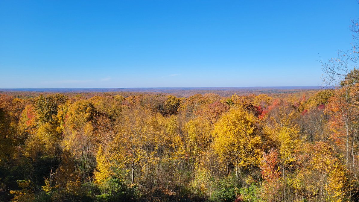 Spent some time outside surrounded by beauty, and I'm not just talking about MacWife.