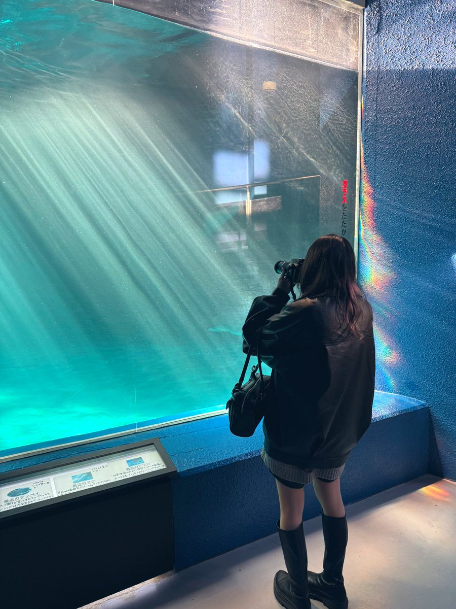 naamuuaamii's tweet image. 絶好のチャンスを狙う私と撮れた写真