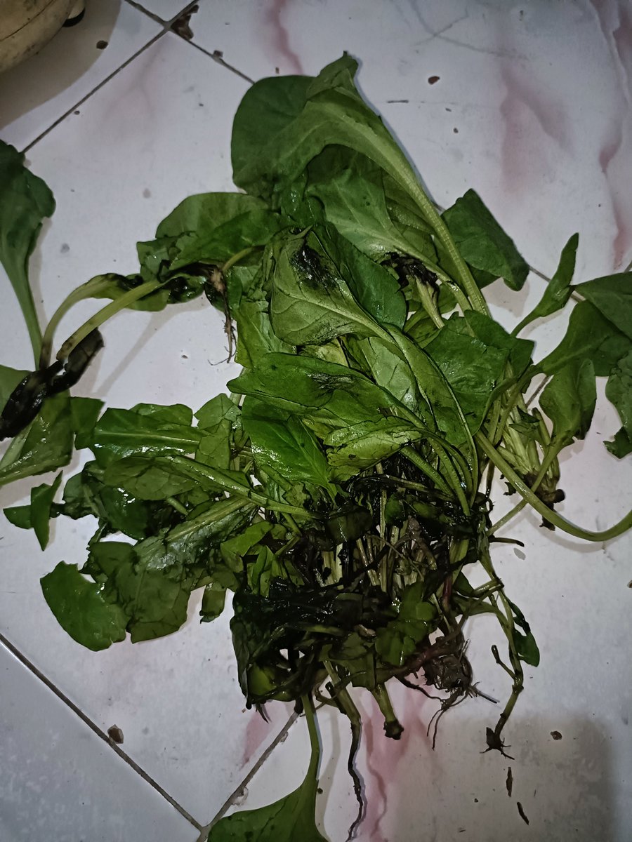fastnul's tweet photo. @blinkitcares @letsblinkit 
Blinkit se vegetables and fruits order Kia tha
but Mausambi 50% kharab dia hai
And vegetables bhi bohot kharab dia hai.
Yahi last time blinkit se vegetables order Kia next time se kabhi nahi karunga 
Itna paisa dene ke baad bhi itna kharab quality mila https://t.co/bHIwFqit9a