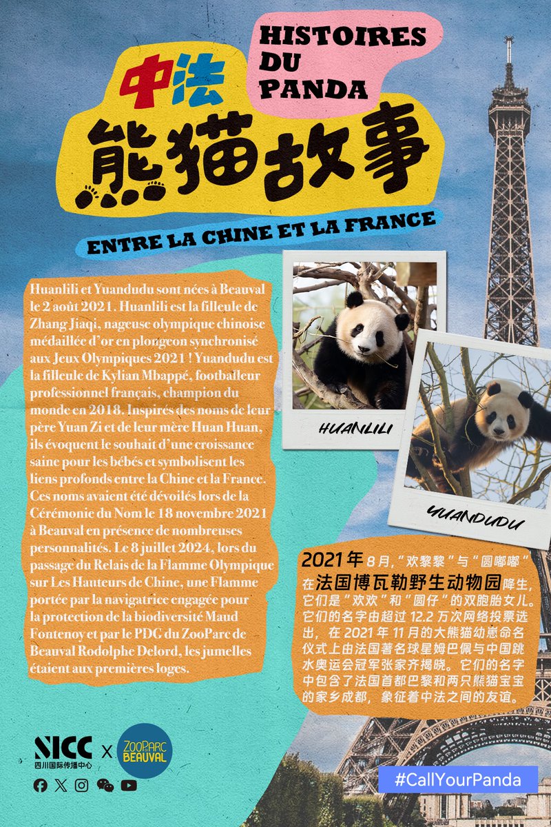 ZooParc de Beauval (@zoobeauval) on Twitter photo 🐼Naissance événement avec les jumelles #panda #Huanlili et #Yuandudu, en août 2021 ! Agées de 3 ans, elles ont bien grandi. Venez-les voir au ZooParc. 🥰
Poster par <a href="/inspiration_eye/">Panda Inspiration</a> #CallYourPanda 🐼Naissance événement avec les jumelles #panda #Huanlili et #Yuandudu, en août 2021 ! Agées de 3 ans, elles ont bien grandi. Venez-les voir au ZooParc. 🥰
Poster par <a href="/inspiration_eye/">Panda Inspiration</a> #CallYourPanda