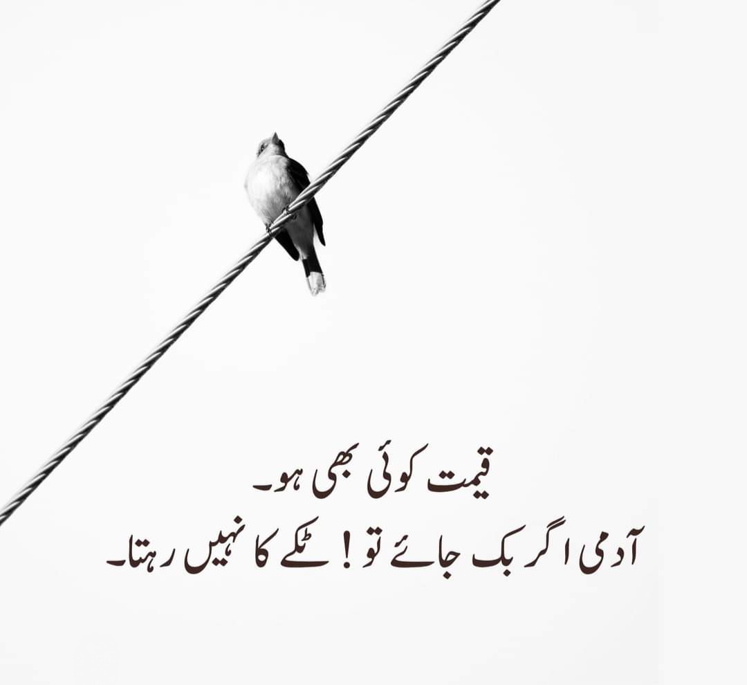 hanankhan256's tweet photo. @Naya__Pakistan_ https://t.co/6wEnaDfzOz