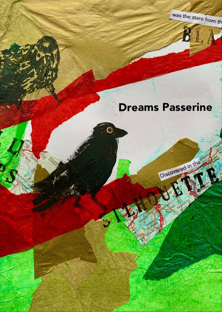 Dr Jonnie McCrea tweet media