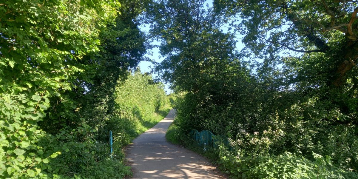 AmandaCass6's tweet photo. PETITION: Preserve and Enhance the Blean for Future Generations - Sign the Petition! https://t.co/tIxMNK0wlG via @UKChange #Blean #SaveTheBlean #GreenfieldSite #Canterbury https://t.co/2YdRZ9jl1h