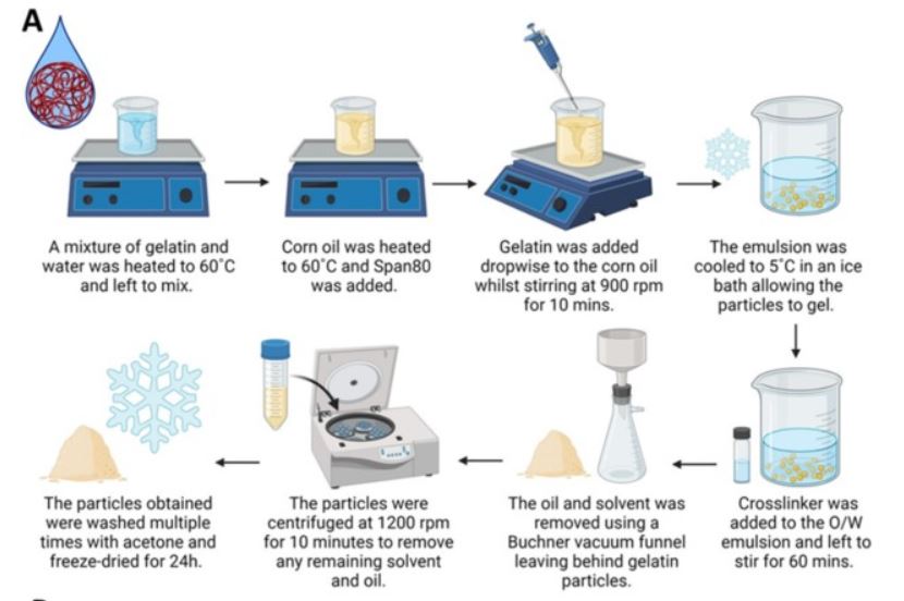 Raechelle D'Sa (@raechelledsa) on Twitter photo 📢New Paper alert: Really proud of <a href="/Kiran_Mann28/">Kiran_Mann</a> on her 1st paper in <a href="/BiomaterialsAdv/">Biomaterials Advances</a>-Gelatin emulsion gels loaded w/ host defence peptides for treatment of antibiotic-resistant infections
<a href="/EPSRC/">Engineering and Physical Sciences Research Council</a> <a href="/BBSRC/">Biotechnology and Biological Sciences Research</a> funded #drugdelivery #AMR #antimicrobialpeptides
doi.org/10.1016/j.bioa… 📢New Paper alert: Really proud of <a href="/Kiran_Mann28/">Kiran_Mann</a> on her 1st paper in <a href="/BiomaterialsAdv/">Biomaterials Advances</a>-Gelatin emulsion gels loaded w/ host defence peptides for treatment of antibiotic-resistant infections
<a href="/EPSRC/">Engineering and Physical Sciences Research Council</a> <a href="/BBSRC/">Biotechnology and Biological Sciences Research</a> funded #drugdelivery #AMR #antimicrobialpeptides
doi.org/10.1016/j.bioa…