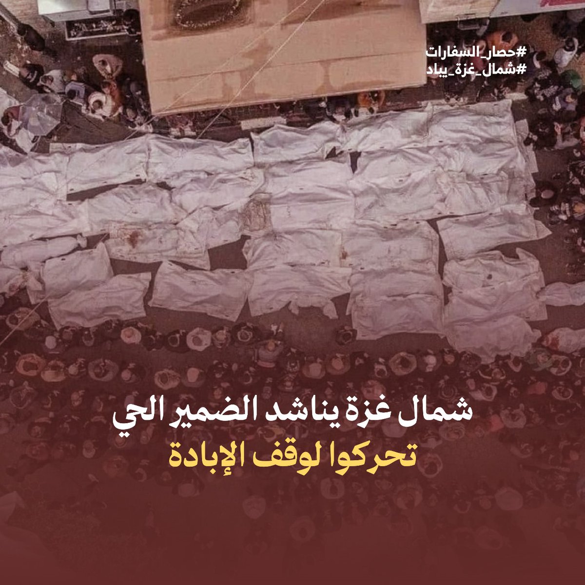 شمال غزة يناشد الضمير الحي تحركوا لوقف الإبادة
#حصار_السفارات 
#شمال_غزة_يباد
#غزه_تباد_وتحرق 
#يحيى_السنوار