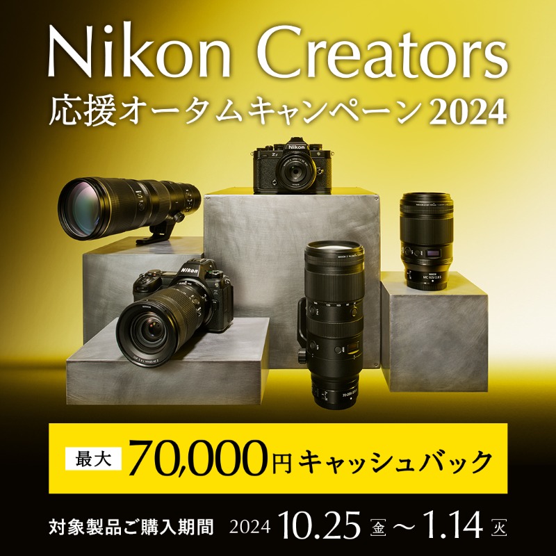 Z6III #Zf NIKKOR Z 180-600mm f/5.6-6.3 VRがキャッシュバックで初