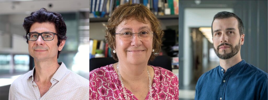 BIST-Barcelona Institute of Science and Technology (@_bist) on Twitter photo 3⃣ #BISTCommunity researchers awarded with #CaixaImpulse Health Innovation <a href="/CaixaResearch/">CaixaResearch</a>
👉María Macias <a href="/IRBBarcelona/">IRB Barcelona</a>: endometrial cancer
👉Luciano di Croce <a href="/CRGenomica/">Centre for Genomic Regulation (CRG)</a>: pediatric brain tumours
👉Salvio Suárez <a href="/icn2nano/">Catalan Institute of Nanoscience & Nanotechnology</a>: membranes for skin lesions
bit.ly/4h6KIp7 3⃣ #BISTCommunity researchers awarded with #CaixaImpulse Health Innovation <a href="/CaixaResearch/">CaixaResearch</a>
👉María Macias <a href="/IRBBarcelona/">IRB Barcelona</a>: endometrial cancer
👉Luciano di Croce <a href="/CRGenomica/">Centre for Genomic Regulation (CRG)</a>: pediatric brain tumours
👉Salvio Suárez <a href="/icn2nano/">Catalan Institute of Nanoscience & Nanotechnology</a>: membranes for skin lesions
bit.ly/4h6KIp7