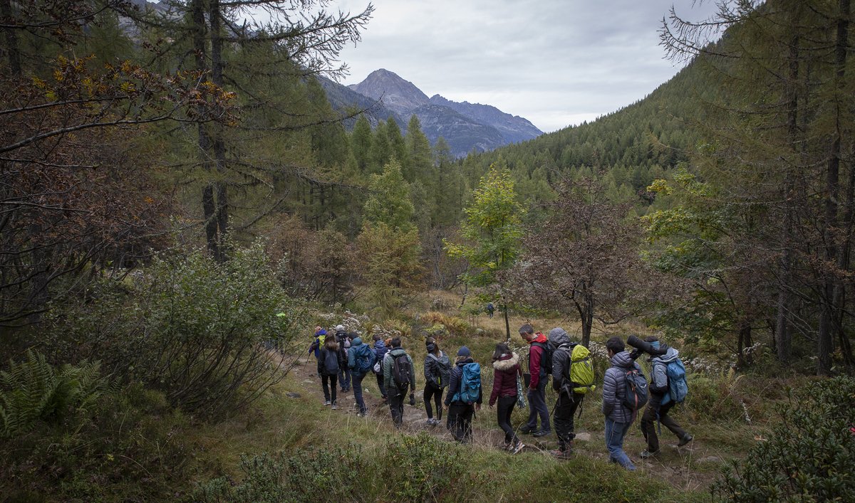 CREA Mont-Blanc (@creamontblanc) on Twitter photo On a fêté 20 ans de sciences participatives le 5 et 6 octobre, lors de la <a href="/FeteScienceAura/">Fête de la Science AuRA</a> 🎉🌲
#Sciencesandich, conférences, tables rondes et sortie terrain étaient à l'honneur ! 🏔️🗣️
Un grand merci à nos partenaires et intervenants !
👉 forum.creamontblanc.org
#FDSAURA On a fêté 20 ans de sciences participatives le 5 et 6 octobre, lors de la <a href="/FeteScienceAura/">Fête de la Science AuRA</a> 🎉🌲
#Sciencesandich, conférences, tables rondes et sortie terrain étaient à l'honneur ! 🏔️🗣️
Un grand merci à nos partenaires et intervenants !
👉 forum.creamontblanc.org
#FDSAURA