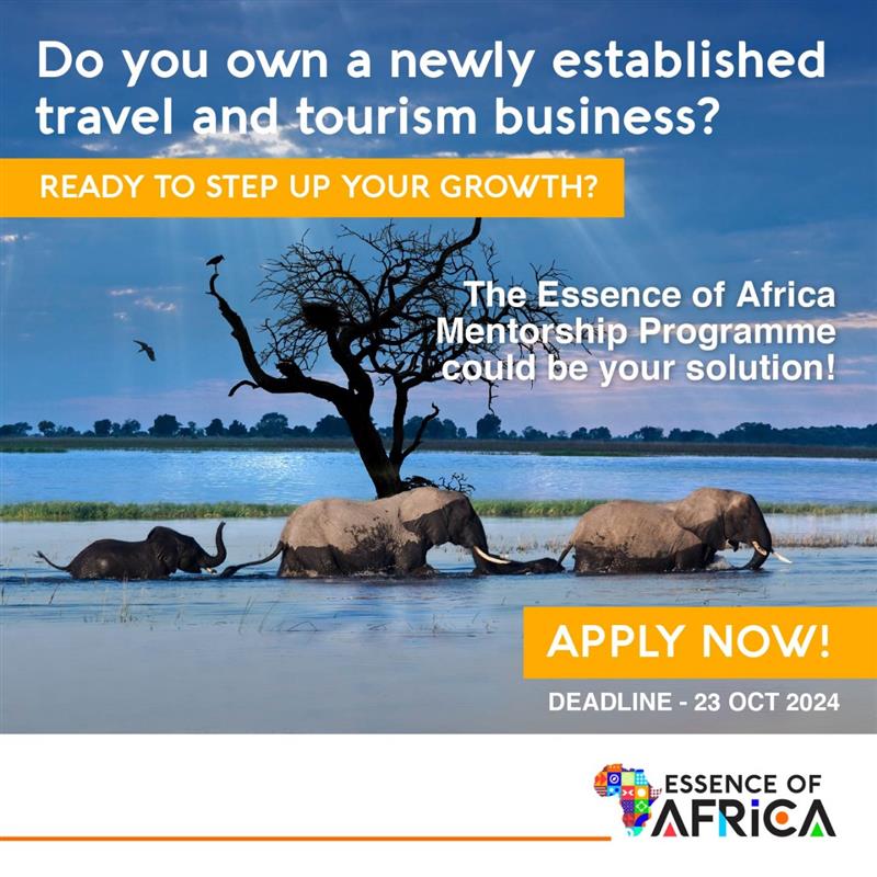 Essence of Africa tweet media