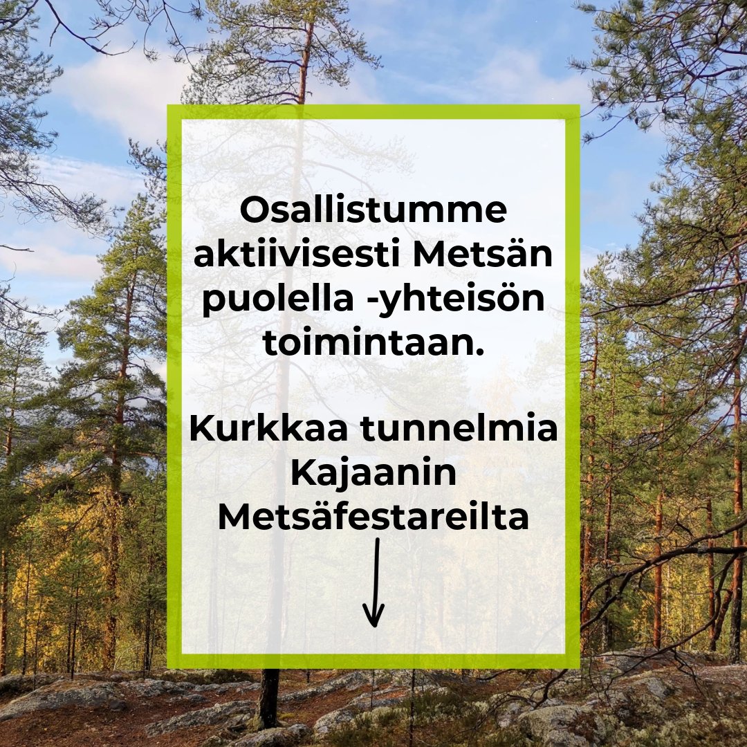 SeedLING_utu's tweet photo. Osallistuimme viime viikolla Kainuun metsäkiistat -hankkeen ja #vaarakollektiivi järjestämille Metsäfestareille🍂🌲🍁

Kyseessä oli useita @metsanpuolella -hankkeita eri puolelta Suomea kerännyt tapahtuma.

Kiitämme järjestäjiä antoisasta tapahtumasta💚 https://t.co/wR30zwGSze