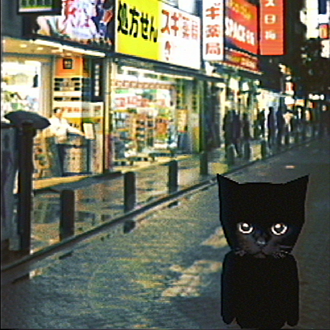 kitosocool's tweet photo. Gm from Japan, Tokyo 📍$TON https://t.co/8kTkaj0mT4