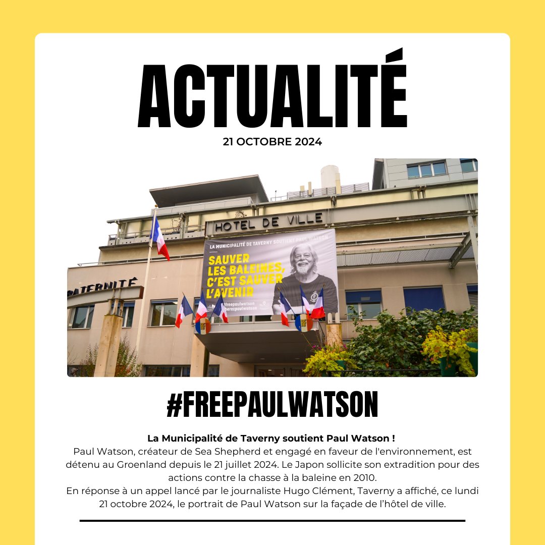 Taverny soutient Paul Watson ! 🤝
Paul Watson, créateur de Sea Shepherd et engagé en faveur de l'environnement, est détenu au Groenland depuis le 21 juillet 2024. Le Japon sollicite son extradition pour des actions contre la chasse à la baleine en 2010. 🐳 #FreePaulWatson