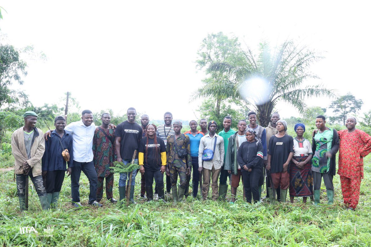 🌳<a href="/IITAForest/">IITA Forest Center</a> Center at #Olokemeji receiving our donor representatives for the #AFR1OO #reforestation project.

🌳Our donors are pleased to #experience #live the growth and progress of the #trees planted. And much more, the impact made on local community members.

🌳Under the sun