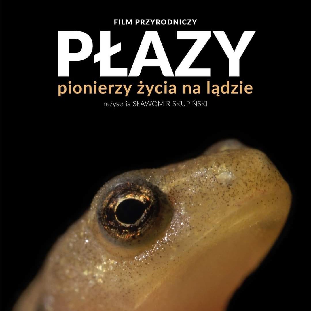 Department of Zoology tweet media