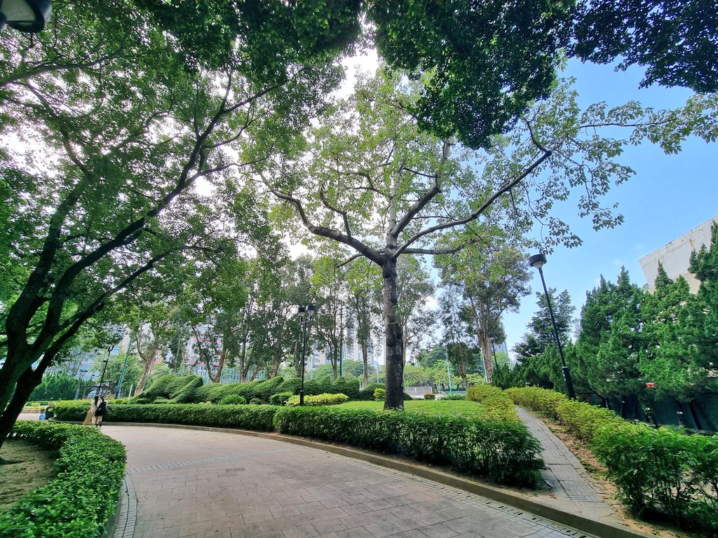 nonstopeurotrip's tweet image. Today I went for a walk around the #Kowloon Walled City Park... It's amazing to think what used to be here and they've done a great job of honouring the memory too! 🇭🇰🫡 #HongKong #NonstopEurotrip