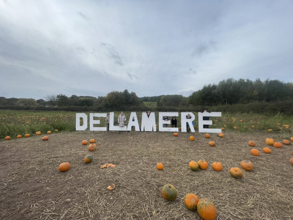 DeePointOak tweet media