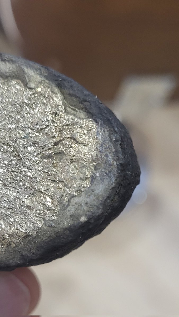 Princertitude tweet media