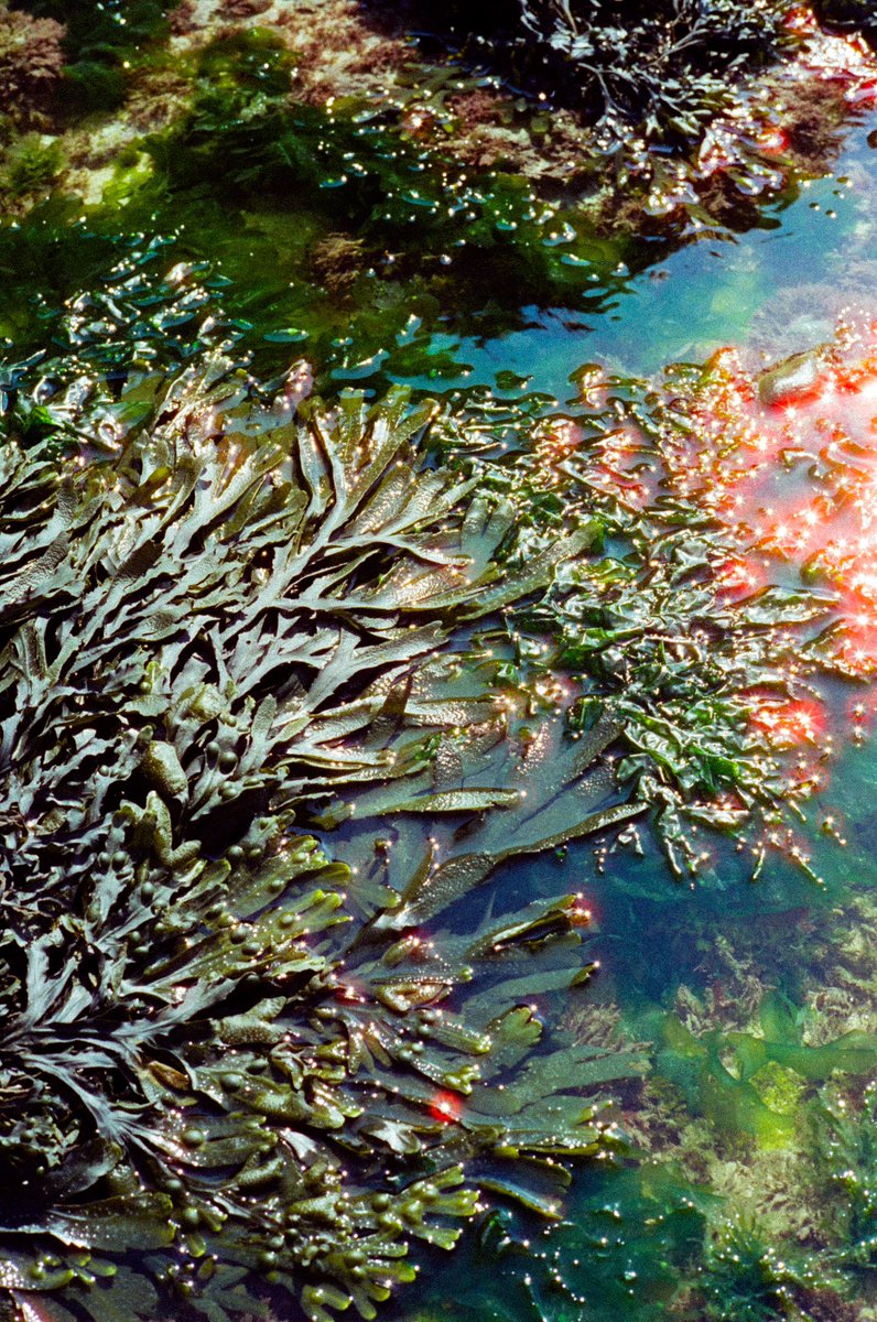 Lao Ségur tweet media