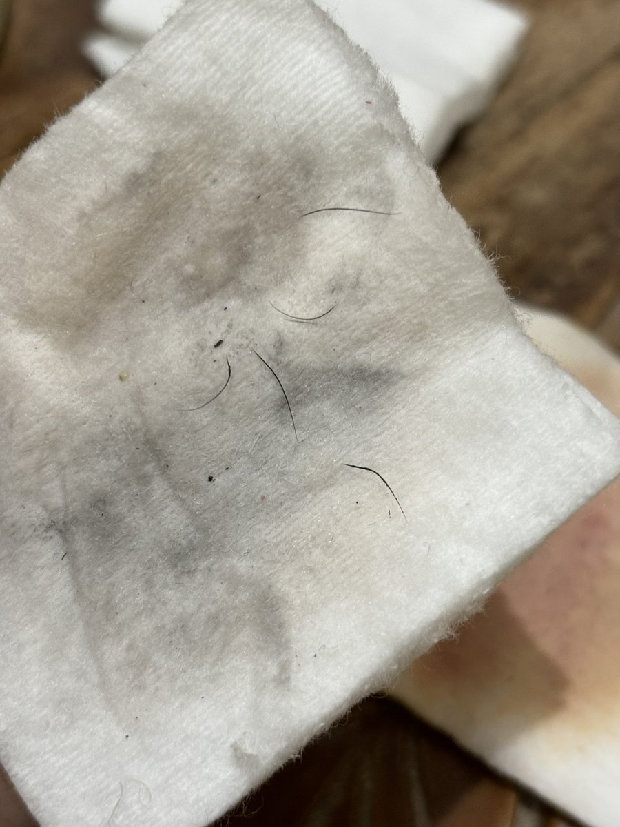 nadyakhanza's tweet photo. relate gak sama bulu mata rontok tiap hapus maskara apalagi maskara waterproof?🤦🏻‍♀️☝🏻

rutinin aja pakai eyelash serum deh buat nguatin bulu mata supaya gak rontok🥹👍🏻 https://t.co/hriOWr5KwB