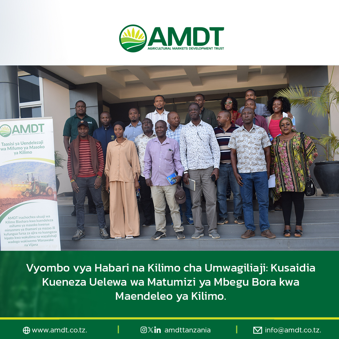 🌱 Kuongeza Uelewa, Mbegu Moja Kwa Wakati! 🌾

Kwa kushirikiana na wadau wetu wa vyombo vya habari, AMDT inatoa mwanga juu ya nguvu ya mabadiliko ya kutumia mbegu bora za mazao kama Choroko, Mbaazi, na Kunde.