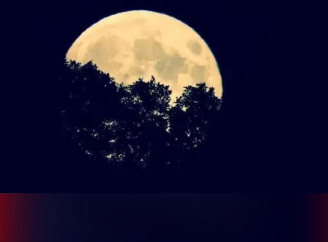 cambraicourt's tweet photo. Hall Green has been enjoying October's full Moon, known as the Hunter's Moon! Supermoons happen when the Moon is closest to the Earth, appearing up to 15% brighter and 30% bigger than regular full Moons. #HallGreenOffices #OfficestoLet #SuitestoLet #BirminghamOfficestoLet https://t.co/amimHWJkQR