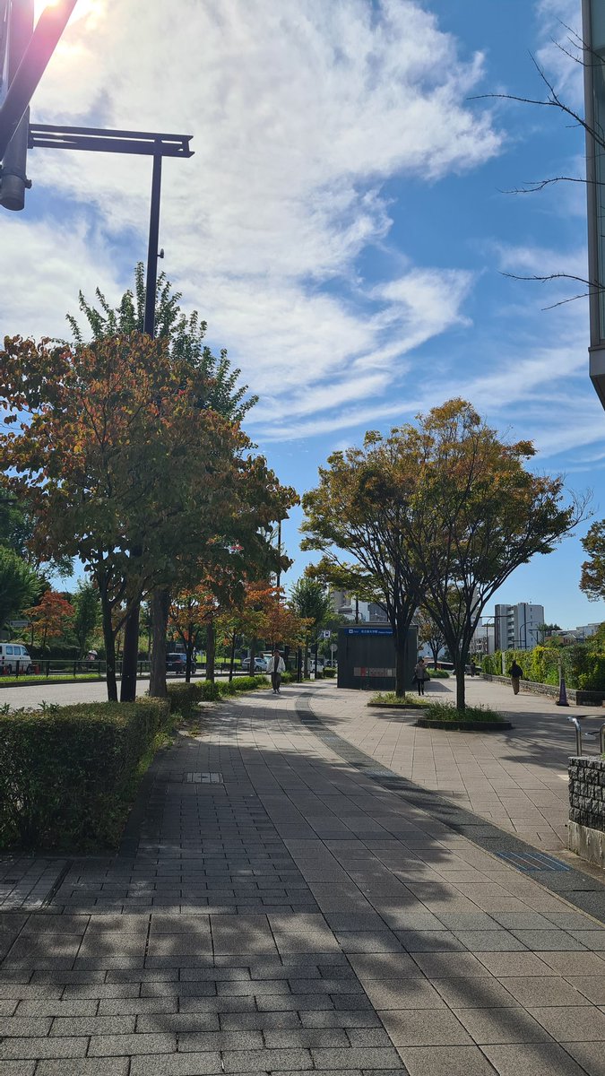 Campus shots at Nagoya University. Happy autumn 🍂 🍁
