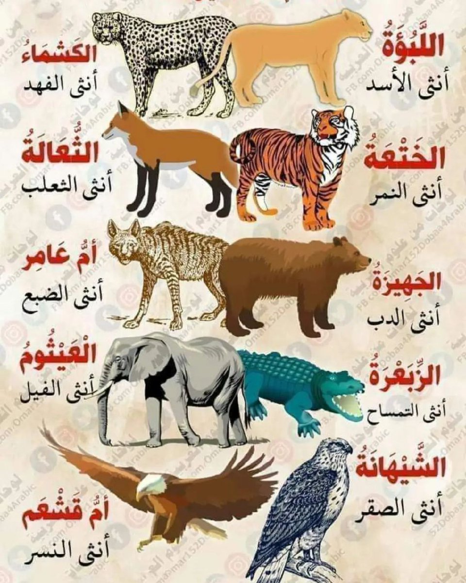 BBPP3M's tweet photo. هل كنت تعلم هذا؟ https://t.co/MYFtP5eFji
