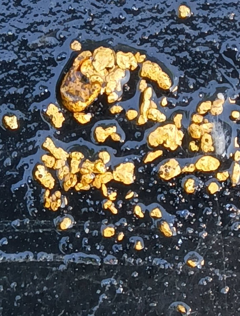 今日は師匠と日光浴川に行ってまいりました。途中渋滞していて遅刻してしまい、今日のホリホリ時間は4時間程でした。本年度中にはもう一回行きたいと思います。今日も満足な一日でした。