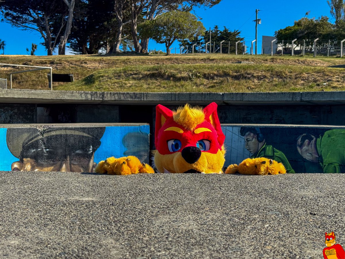 DaddyCrimson38's tweet photo. Fursuiting out at Awaroa / Godley Head.

📸: @Kiwi_Capt 
🧵: @FireWolfStudio https://t.co/B02BhniL3v