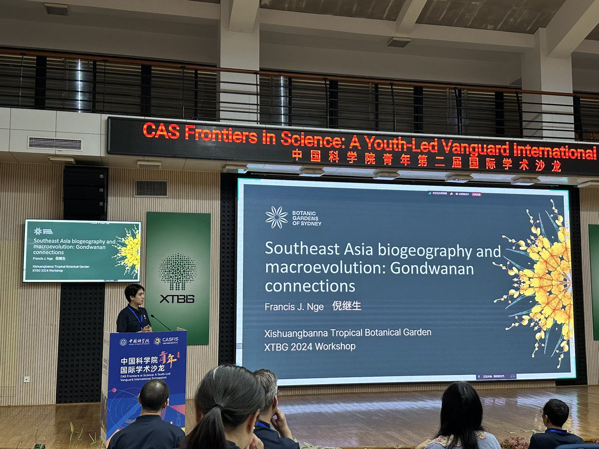 Arcii Naive｜马克 🇵🇭 tweet media