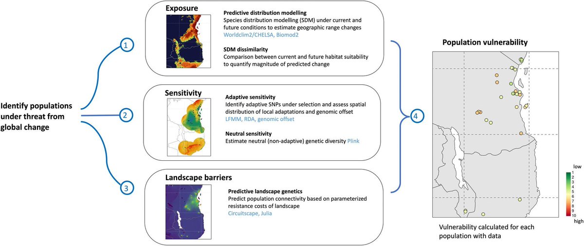 Check out our new blog post that introduced ‘Life on the edge’, a new toolbox for predicting population responses to global change 🌎 

buff.ly/3U2IP2H
