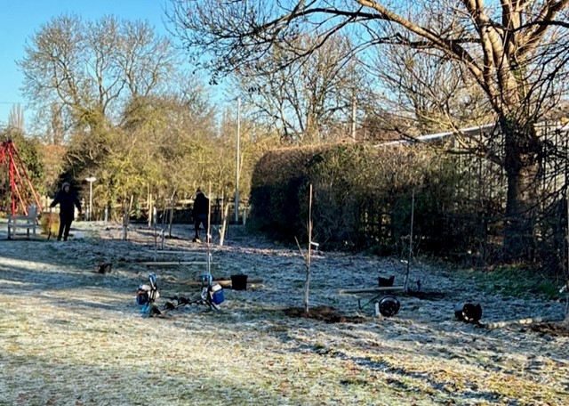 Our free tree scheme is back! If you’re a landowner, farmer or community group wanting to plant a new native #hedgerow or #woodland in Leicestershire, we can support you with our free #planting scheme 🌳🌲 For more information and to apply, go to orlo.uk/1cpJE